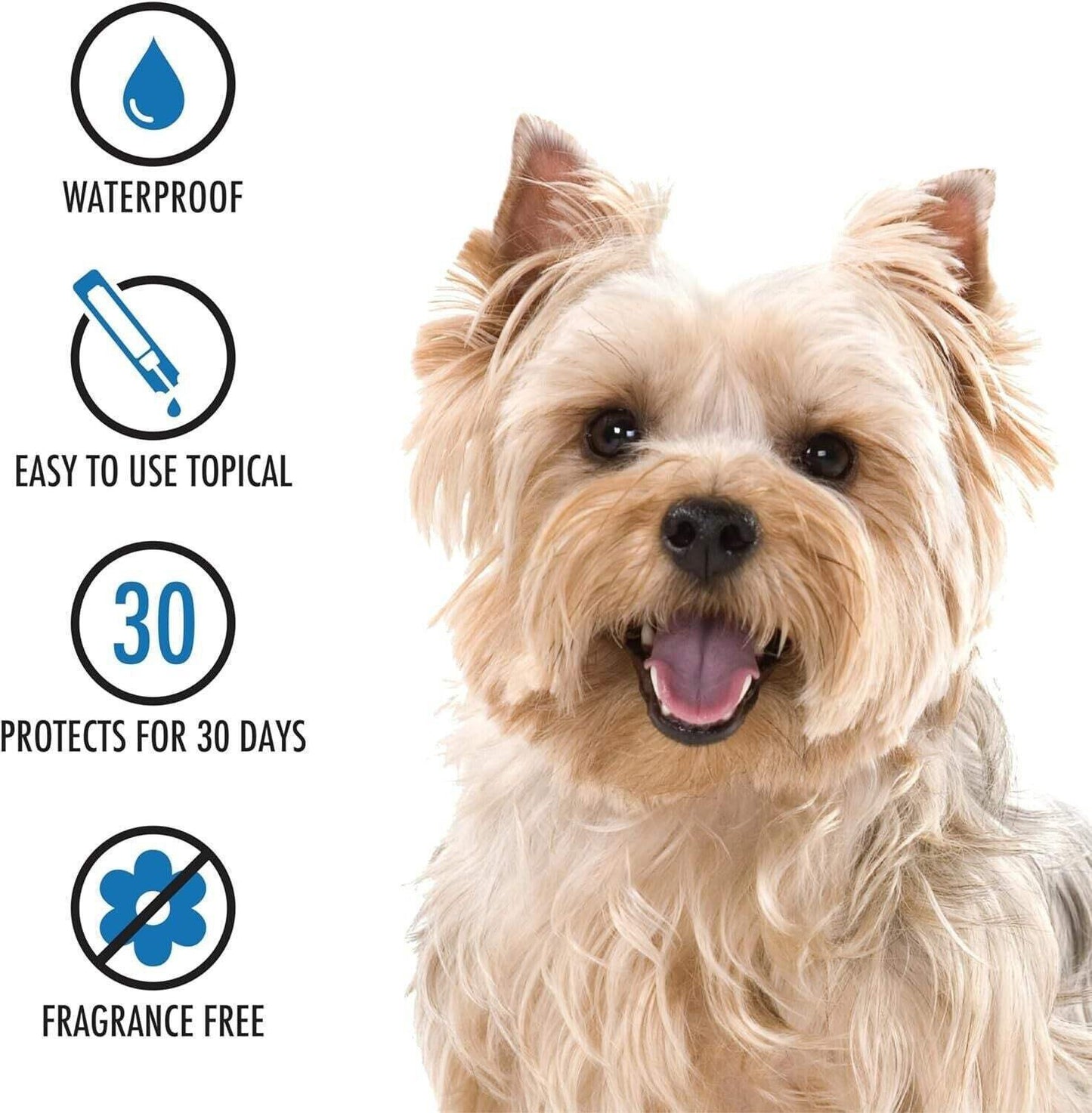 3 X ADVECTA ULTRA FOR DOGS SMALL (4 - 10 LBS) 4 MONTH (TOTAL 12 MONTH) NIB