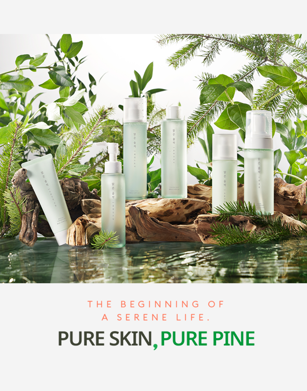 [A'PIEU] Pure Pine Bud Cleansing Water 200ml **K-Beauty** NEW IN BOX