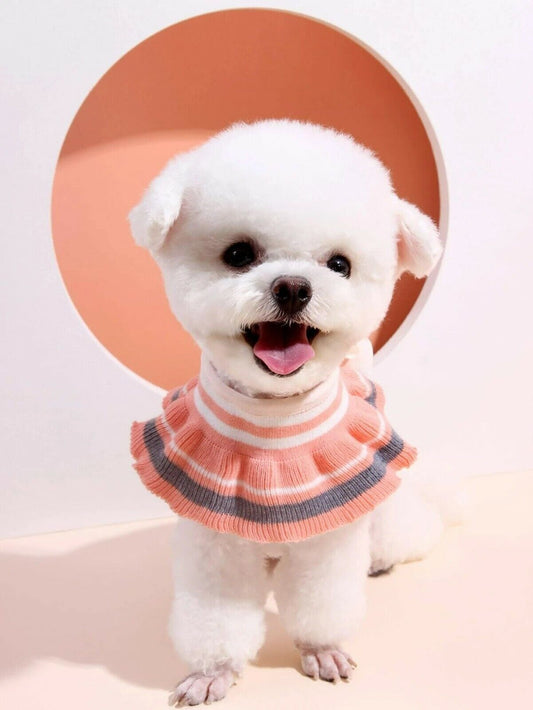 SHEIN Colorblock Ruffle Hem Dog Collar NEW